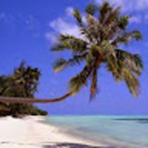 Meet your Posher, Graciana